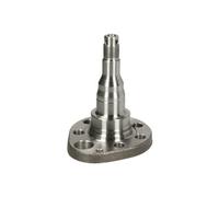 Wheel knuckle Rear Axle Right H5W027BTA BTA for VW SEAT