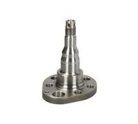 BTA H5W028BTA Steering Knuckle, wheel suspension for VW