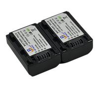 BTBAI 2x NP-FH50 Battery+Charger USB Dual for NPFH50 NP-FH30 NP-FH40 HDR-30 XR100 DCR- DVD103 DVD105 DVD105E DVD106 DVD106E DVD108 DVD109 DVD109E DVD110E DVD115E DVD150 DVD150E DVD202E DVD203 k1a