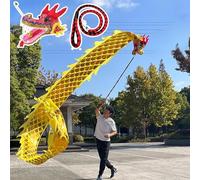 BTBTB Wu Long Dragon Ribbon Streamer, Dragon Poi Dance Ribbon With Scale ＆ Head, Flinging Dragon Streamer Outdoor Juggling(Yellow,6m (19.6 ft))