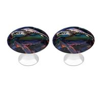 BTCOWZRV A Colorful Tropical Sea Turtle 2 Pack Cabinet Knobs Drawer Pulls