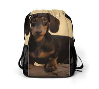 BTCOWZRV A Cute Dachshund Drawstring Backpack, Sports Gym Bag with Bottom Pocket And Mesh Pockets, String Bag for Men Women