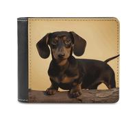 BTCOWZRV A Cute Dachshund Slim Wallets for Men Bifold Wallet