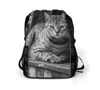 BTCOWZRV A Gray Cat Drawstring Backpack, Sports Gym Bag with Bottom Pocket And Mesh Pockets, String Bag for Men Women