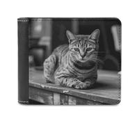 BTCOWZRV A Gray Cat Slim Wallets for Men Bifold Wallet