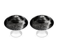 BTCOWZRV A Little Camel 2 Pack Cabinet Knobs Drawer Pulls
