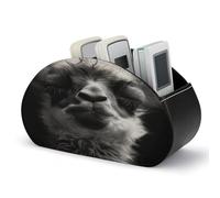 BTCOWZRV A Little Camel Remote Control Holder with 5 Compartments