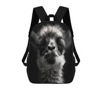 BTCOWZRV A Little Camel Travel Backpack Laptop Backpack 17 Inch