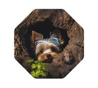 BTCOWZRV A Little Yorkshire Terrier Coasters 4 Pcs Drink Coasters with Holder Leather Coaster Coffee Cup Pad Drinking Cup Mat Set Coffee Table Drinks Coasters for Modern Home Decor 4inch