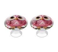 BTCOWZRV A Pink Owl 2 Pack Cabinet Knobs Drawer Pulls