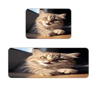 BTCOWZRV Cute Cat Paw Kitchen Mats Kitchen Rugs Standing Mat | Anti-pilling Flannel Floor Mat with Non Slip Bottom Washable Absorbent Kitchen Mat for Home Sink Laundry 17"x47"+16"x24"