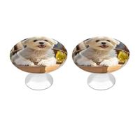 BTCOWZRV Cute Maltese Puppy Dog 2 Pack Cabinet Knobs Drawer Pulls
