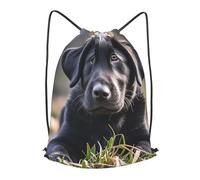 BTCOWZRV Drawstring Backpack Woemn Men Sports Gym Sack Lightweight Drawstring Bags Black Labrador Puppy Cinch Bag Sackpack For Work Swim Travel