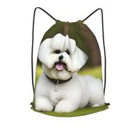 BTCOWZRV Drawstring Backpack Woemn Men Sports Gym Sack Lightweight Drawstring Bags Cute Bichon Frise Dog Cinch Bag Sackpack For Work Swim Travel