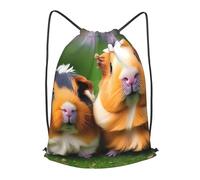 BTCOWZRV Drawstring Backpack Woemn Men Sports Gym Sack Lightweight Drawstring Bags Cute Guinea Pigs Cinch Bag Sackpack For Work Swim Travel
