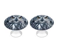 BTCOWZRV Grey and White Owl 2 Pack Cabinet Knobs Drawer Pulls