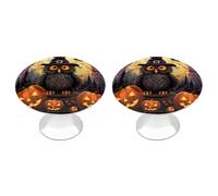 BTCOWZRV Halloween Owl Ghost Pumpkin 2 Pack Cabinet Knobs Drawer Pulls