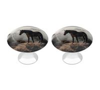 BTCOWZRV Horse on A Misty Mountaintop 2 Pack Cabinet Knobs Drawer Pulls