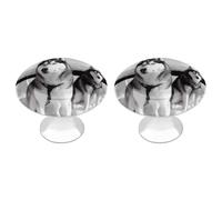 BTCOWZRV Husky Dogs Snow 2 Pack Cabinet Knobs Drawer Pulls