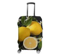 BTCOWZRV Luggage Cover Lemon And Flower Suitcase Cover Washable Suitcase Protector Anti-scratch Luggage Cover Suitcase Anti Dirt Covers for Travel Fits 18-32 Inches Trunk, style, L