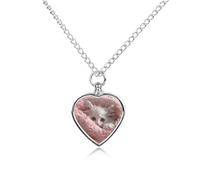 BTCOWZRV Personalized Pet Urn Cremation Necklace for Ashes - A White Cat Pet Ashes Necklace - Custom Keepsake Necklace with Photo And Text, Memorial Heart Urn Pendant for Dogs Cat