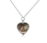 BTCOWZRV Personalized Pet Urn Cremation Necklace for Ashes - Squirrel Just Laying Pet Ashes Necklace - Custom Keepsake Necklace with Photo And Text, Memorial Heart Urn Pendant for Dogs Cat
