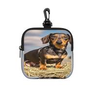 BTCOWZRV Small Neoprene Pouch, Mini Portable Makeup Bag With Carabiner Keychain Waterproof Travel Coin Purse Storage Bag Dachshund Dog Clutch Cosmetic Organizer For Women