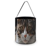 BTCOWZRV Tabby Cat Halloween Candy Bags with Handles Large Reusable Halloween Trick Or Treat Bags Portable Halloween Candy Bucket Goodie Bags for Halloween Party Favors, Style, 7.9"Ã-7.9"Ã-8.3",