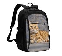BTCOWZRV Travel Laptop Backpack Business Backpack for Men Women Cute Cat Travel Backpack with USB Charging Port