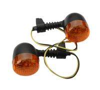 BTEDSXC Turn Indicator Lamp Compatible With YQ50L For Nitro For Naked 50 2012 For YQ100 For Nitro 50 2002 5HE-H3340-00 5HE-H3330-00 Scooter Rear Turn Signal Light