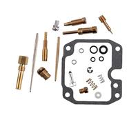 BTFWM 1 Set Motorcycle Carburetor Rebuild Repair Kit Can Am, for Bombardier, Rally 175 200 20032004 2005 2006 2007 Motorcycle Carburetor Repair Kit