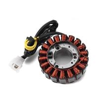 BTFWM Ignition Stator Stator Coil for CH250 for Elite KAB FES250 NSS250 forza 250 MF06 foresight Reflex, for JAZZ, 2001-2003 Ignition Stator Magneto Plate Motorcycle Ignition Stator
