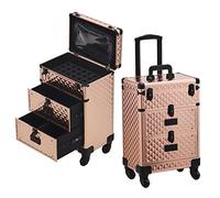 BTGGG Makeup Trolley Professional Beauty Trolley on Wheels with 2 Drawers Lockable Cosmetic Vanity Case Hairdressing Trolley, Rose Gold Make Up Case, Beauty Nails Case, Gift for Mothering Sunday