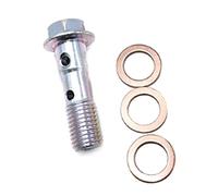 Btgghytr 10 Pcs Stainless Steel Banjo Bolts Brake Hoses Line Fitting Adapter with Washers Motorcycle Brake Caliper Banjo
