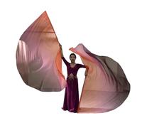 Btgghytr 2Pcs Worship Wing Flags Praise Dance Flags with Scalable Rods for Churches Dance Banners Easy