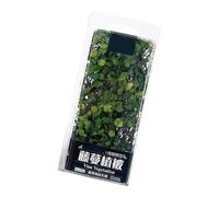 Btgghytr Miniature Vine Vegetation Art Piece Model Set Assembly Accessories for Home Decoration and Craft Enthusiasts Gift Weather Resistant Vegetation