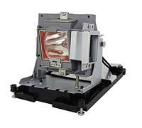 BTI Lamp for OPTOMA EH500 OEM: BL-FU310B DE.5811118436