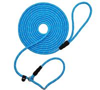 BTINESFUL 10FT / 15FT / 20FT Slip Lead Dog Leash, Reflective 1/3” Rope Leash Long Training Lead for Small Medium Dogs (15ft, Blue)