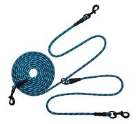 BTINESFUL 12FT 20FT 30FT 50FT Reflective Dog Tie Out for 2 Dogs, No Tangle 20ft by 1/3 Inch Nylon Rope Long Tether for Two Dogs, Dog Trolley Runner for Yard Outdoor Camping (20 ft x 1/3", Blue)