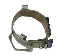 BTOSEP Pet Dog Collar Nylon Adjustable Traction Collar for Medium and Large Dogs with Steel Buckle Outdoor Travel Training 3.8x60cm (Green)