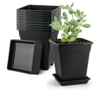 BTPLASTIK Square Plastic Planter 8 Inch, Plant Pots with Drainage Hole & Tray, 10 Pack Modern Decorative Garden Pot with Saucer, 1 Gallon Flower Pots Planters for Indoor Outdoor Plants