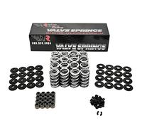 BTR Brian Tooley Racing LS Dual Valve Spring Kit (.660" Lift) with Steel Retainers -Fits LS1 LS2 LS3 LS4 LS6 L76 L92 L99 LQ4 LQ9 L33 LSA