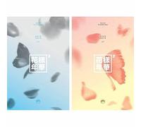 BTS - BTS IN THE MOOD FOR LOVE PT.2 4th Mini Album [ BLUE + PEACH ] 2 Ver FULL SET. 2ea CD+2ea Photo Book(each 98p)+2p Photo Card K-POP SEALED+TRACKING NUMBER