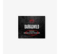 BTS - DARK & WILD