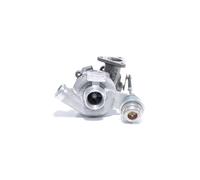 BTS TURBO T911255 Turbocharger