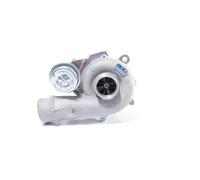 BTS TURBO T911910 Turbocharger