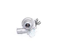 BTS TURBO T916217 Turbocharger