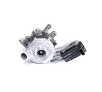 BTS TURBO T916542LI Turbocharger