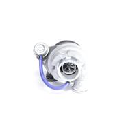 BTS TURBO T918095 Turbocharger
