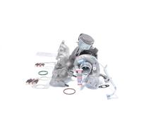 BTS TURBO T981073 Turbocharger